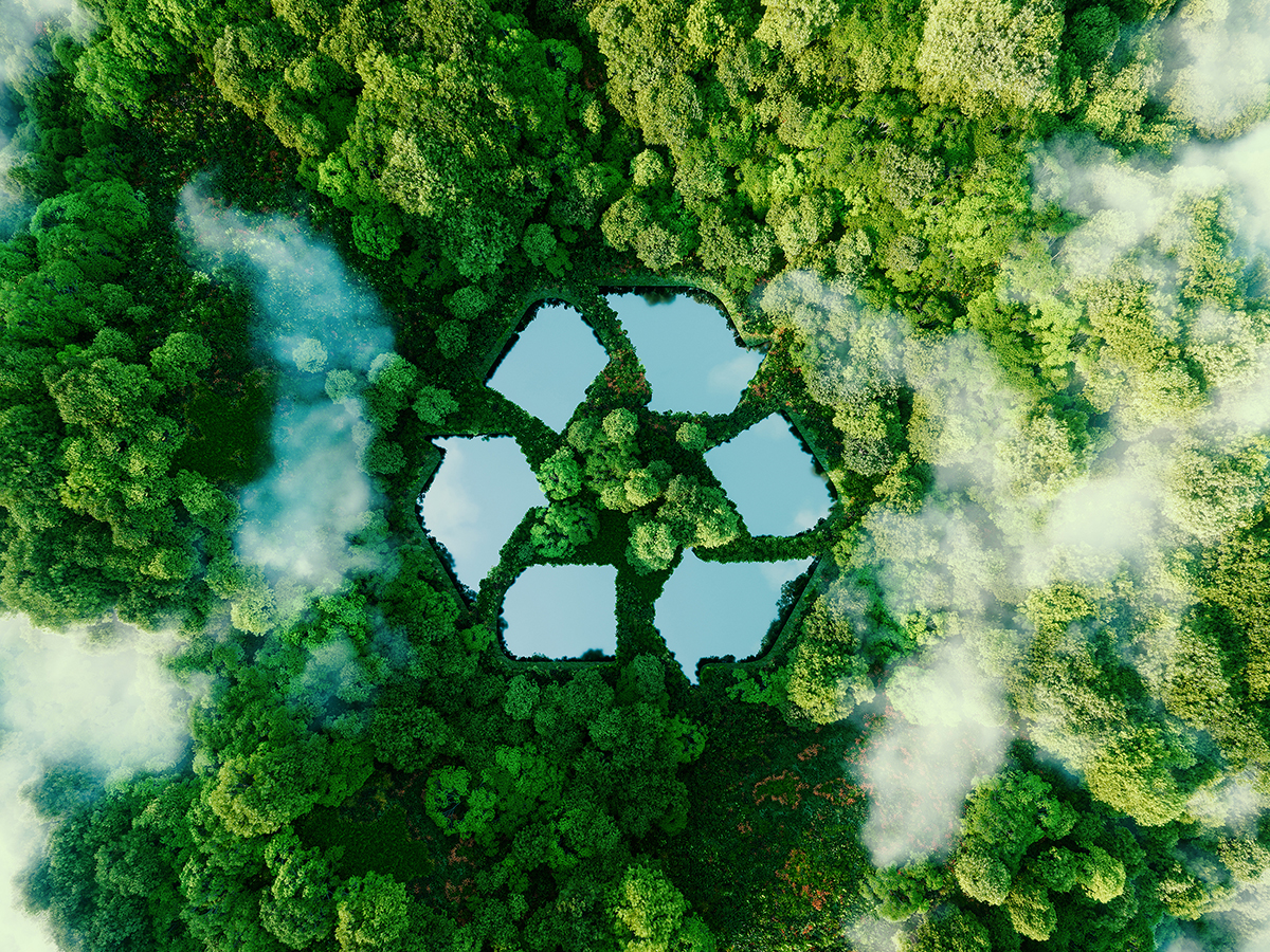 1762939873329024.png 1.png